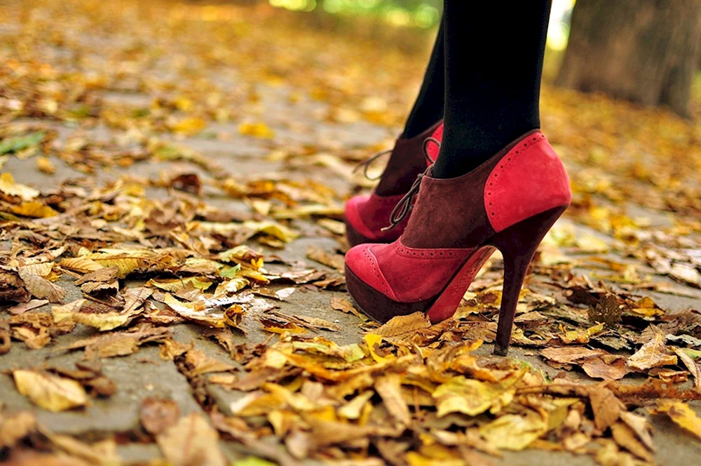 Осенние туфли